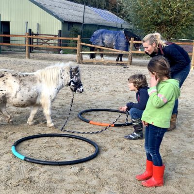 Spelen met ponys Pony Power For Kids
